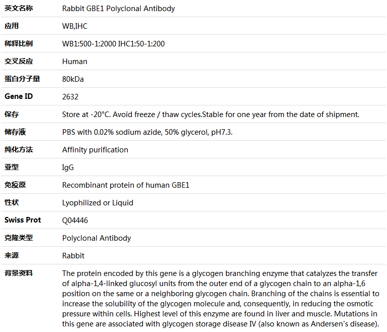 GBE1 Antibody,索莱宝,K004647P-100ul