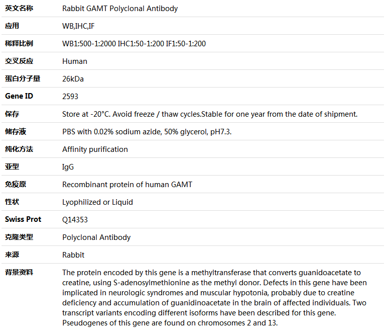 GAMT Antibody,索莱宝,K004645P-50ul