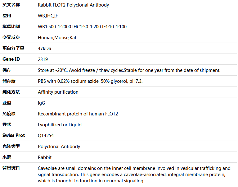 FLOT2 Antibody,索莱宝,K004640P-50ul