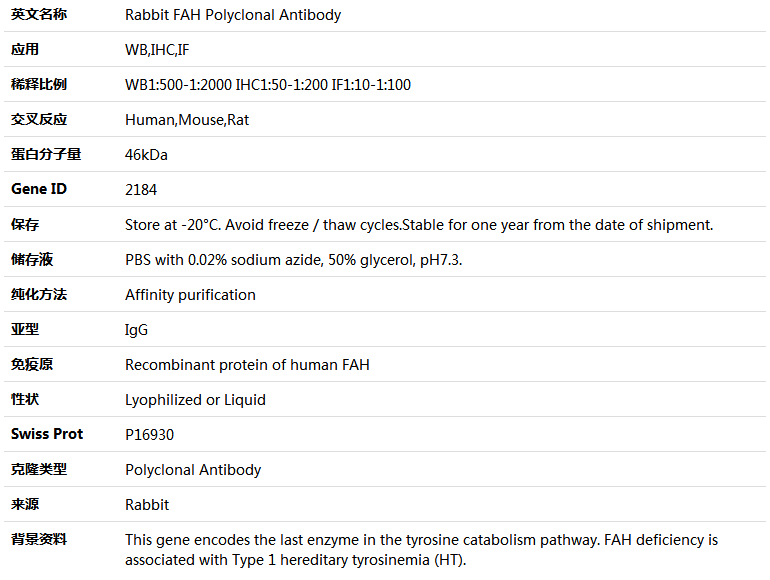 FAH Antibody,索莱宝,K004637P-50ul