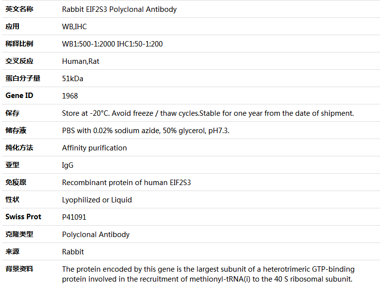 EIF2S3 Antibody,索莱宝,K004633P-30ul