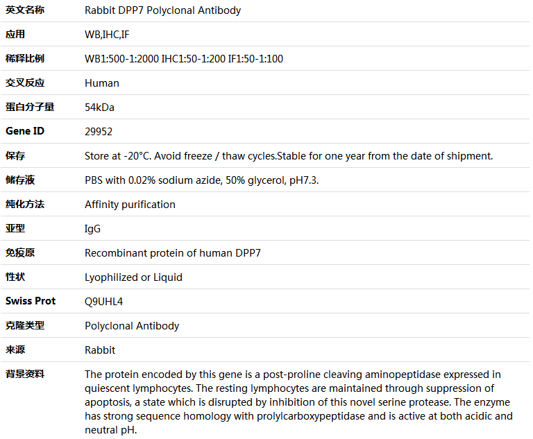 DPP7 Antibody,索莱宝,K004631P-50ul