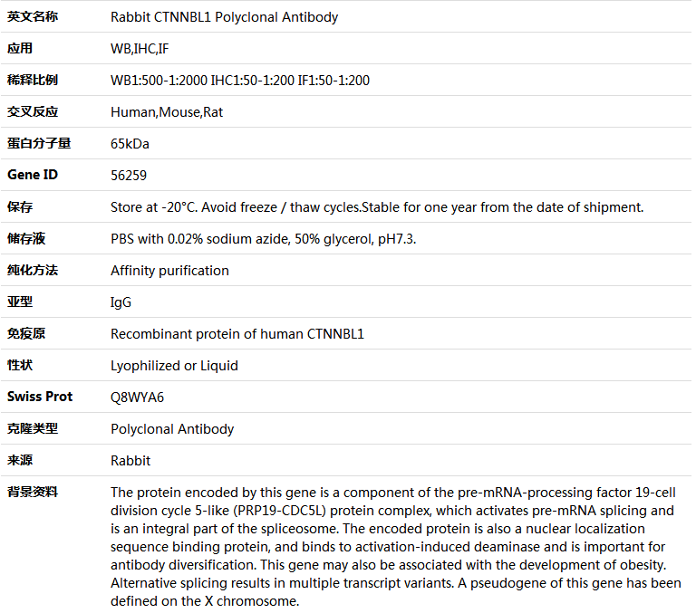CTNNBL1 Antibody,索莱宝,K004626P-50ul