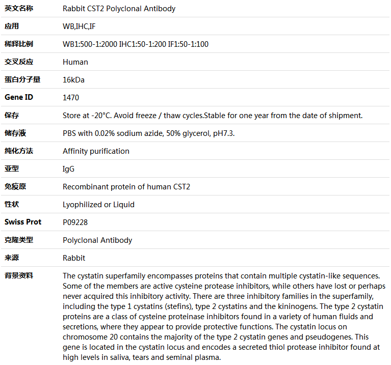 CST2 Antibody,索莱宝,K004625P-50ul