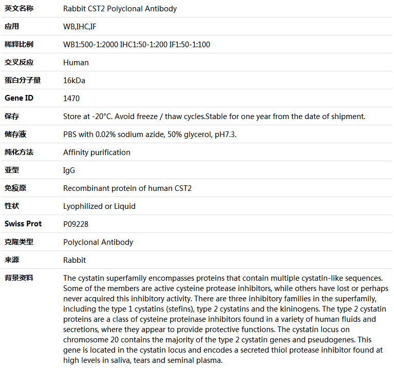 CST2 Antibody,索莱宝,K004625P-100ul