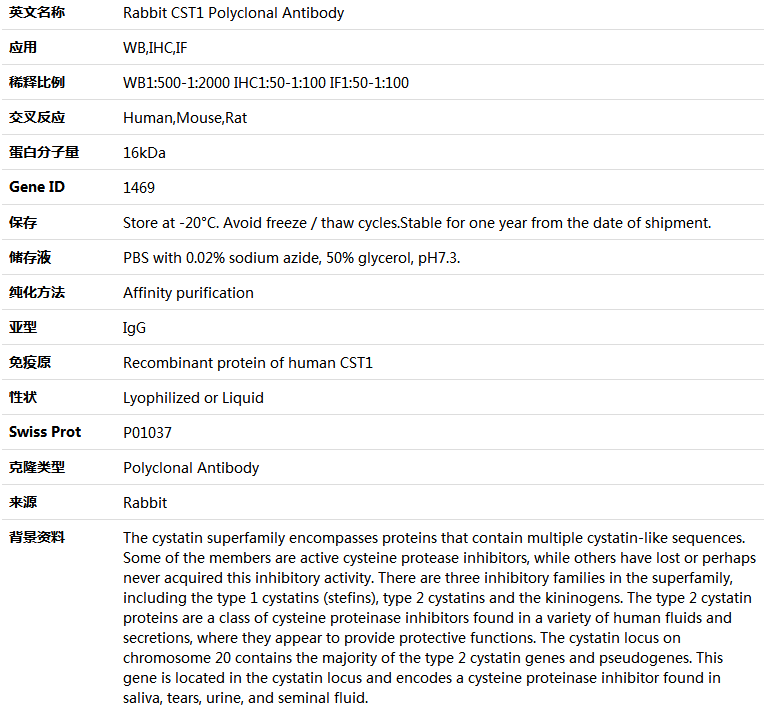 CST1 Antibody,索莱宝,K004624P-50ul