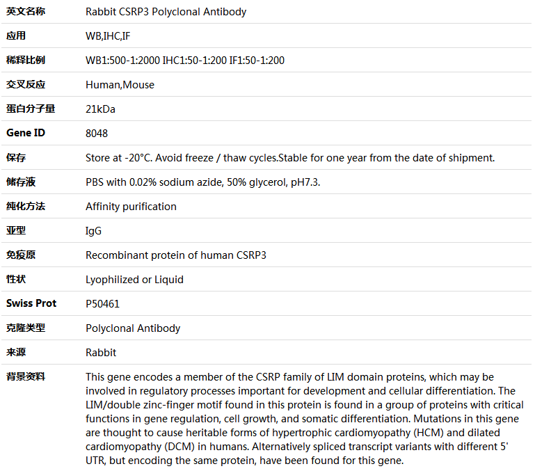 CSRP3 Antibody,索莱宝,K004623P-30ul