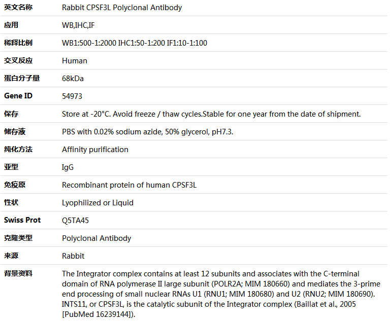 CPSF3L Antibody,索莱宝,K004620P-50ul