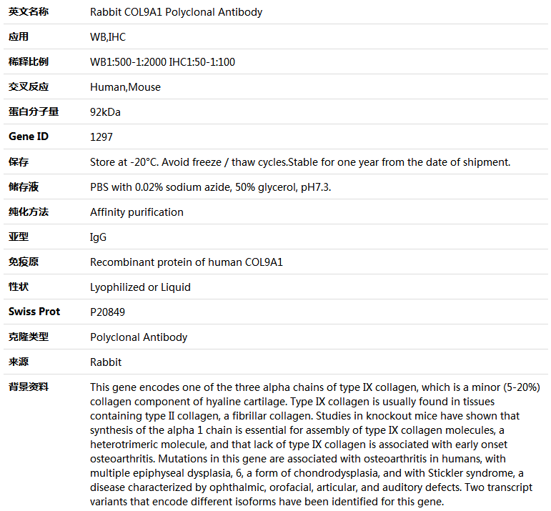 COL9A1 Antibody,索莱宝,K004617P-50ul
