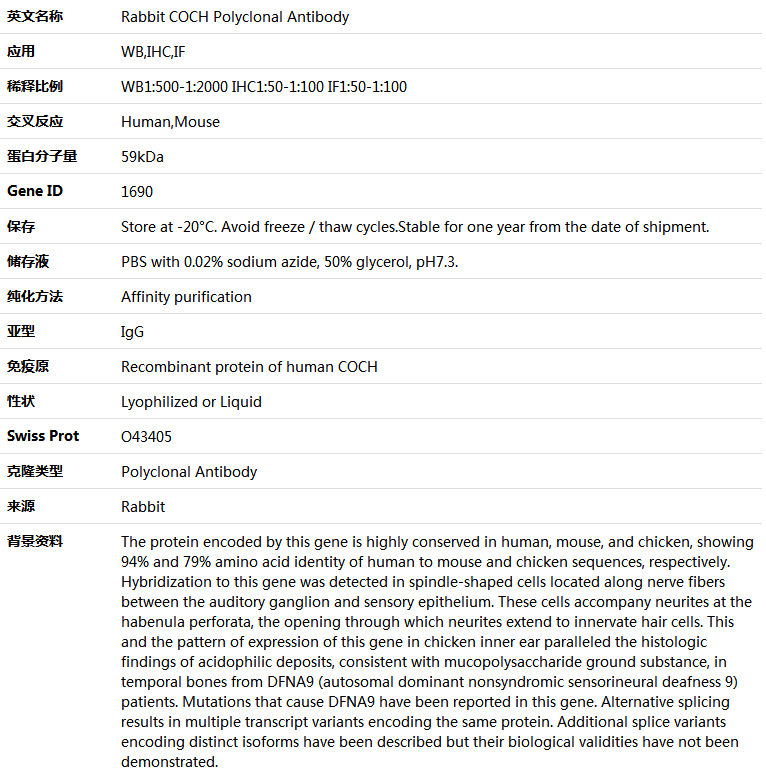COCH Antibody,索莱宝,K004616P-100ul