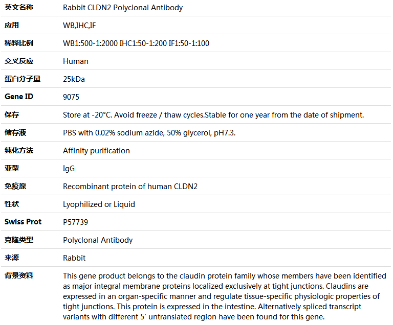 CLDN2 Antibody,索莱宝,K004614P-100ul