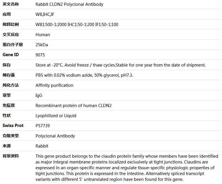 CLDN2 Antibody,索莱宝,K004614P-50ul