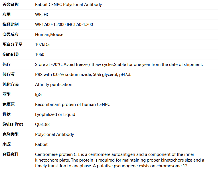 CENPC Antibody,索莱宝,K004612P-100ul