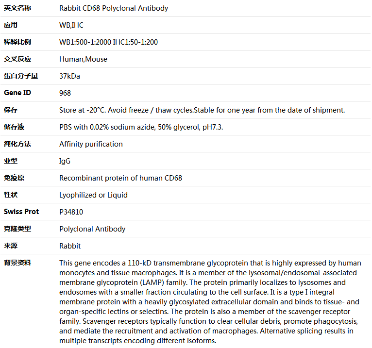 CD68 Antibody,索莱宝,K004610P-100ul