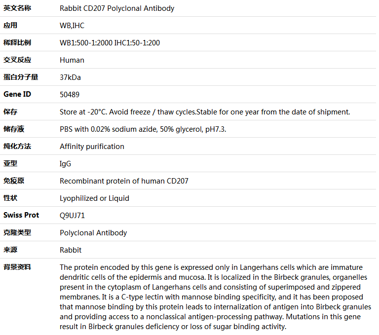 CD207 Antibody,索莱宝,K004609P-50ul
