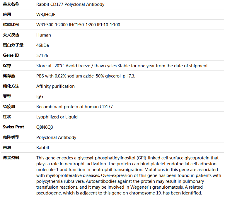 CD177 Antibody,索莱宝,K004607P-100ul