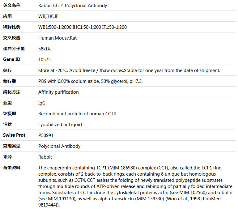 CCT4 Antibody,索莱宝,K004605P-50ul