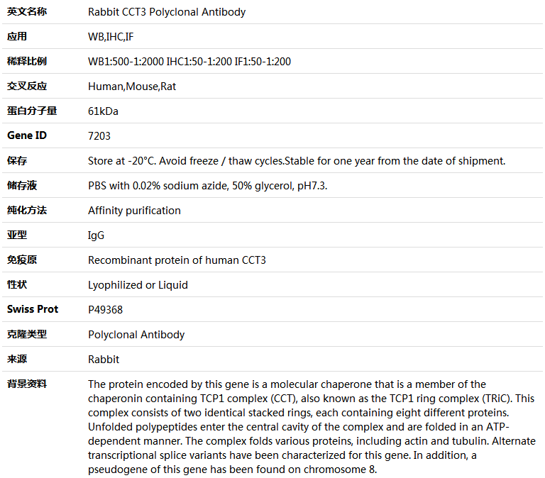 CCT3 Antibody,索莱宝,K004604P-100ul