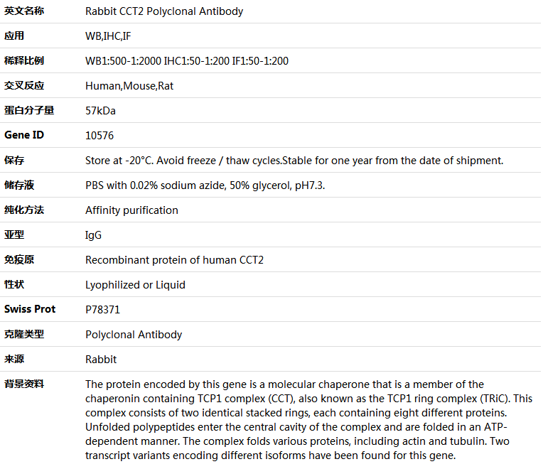 CCT2 Antibody,索莱宝,K004603P-100ul