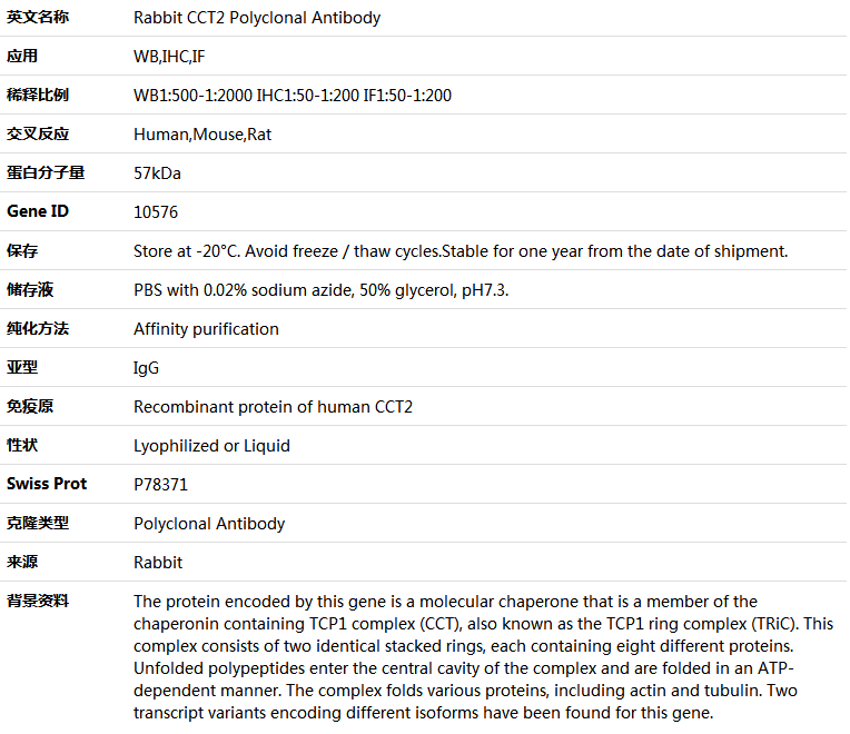 CCT2 Antibody,索莱宝,K004603P-50ul