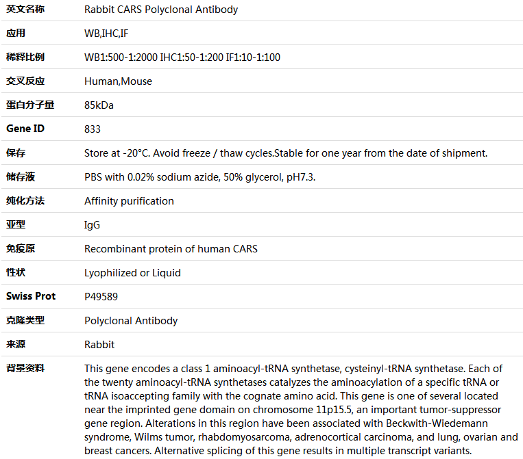 CARS Antibody,索莱宝,K004597P-100ul