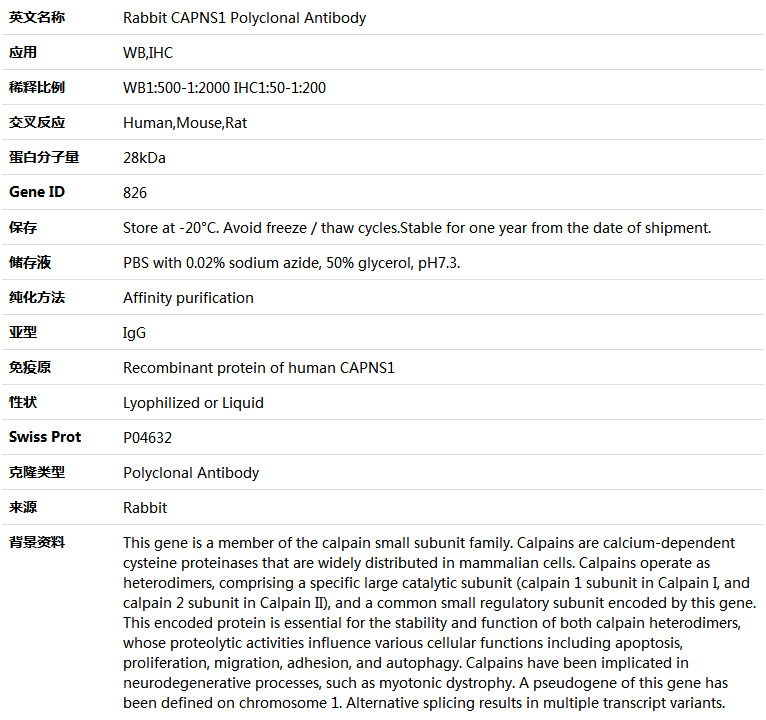 CAPNS1 Antibody,索莱宝,K004596P-100ul