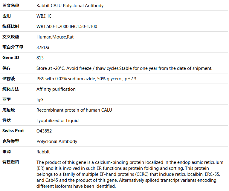 CALU Antibody,索莱宝,K004595P-50ul