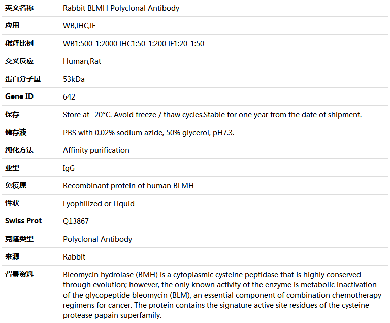 BLMH Antibody,索莱宝,K004593P-100ul