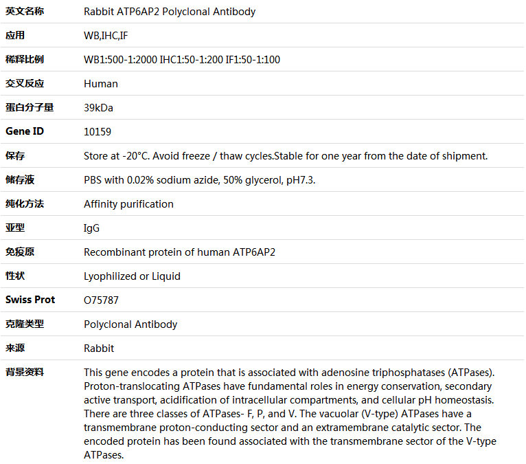 ATP6AP2 Antibody,索莱宝,K004589P-100ul