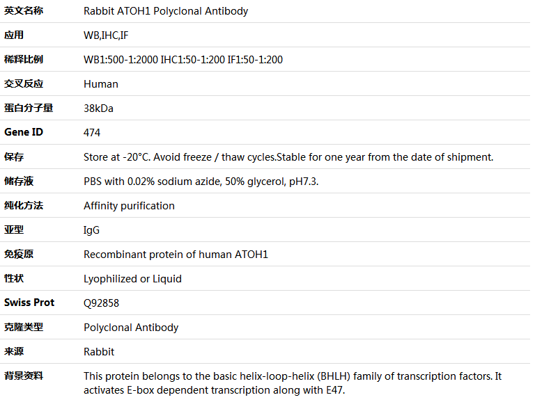 ATOH1 Antibody,索莱宝,K004588P-50ul