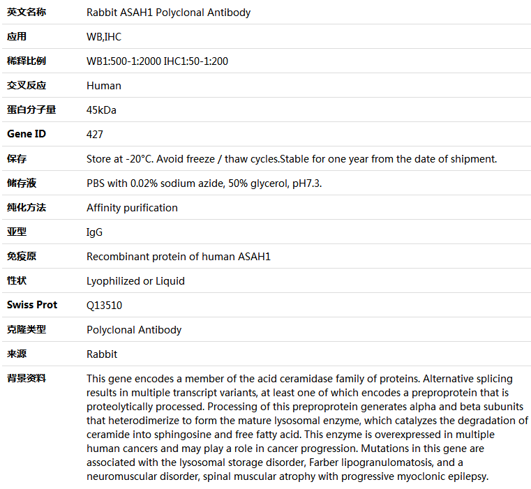 ​​​​ASAH1 Antibody,索莱宝,K004587P-50ul