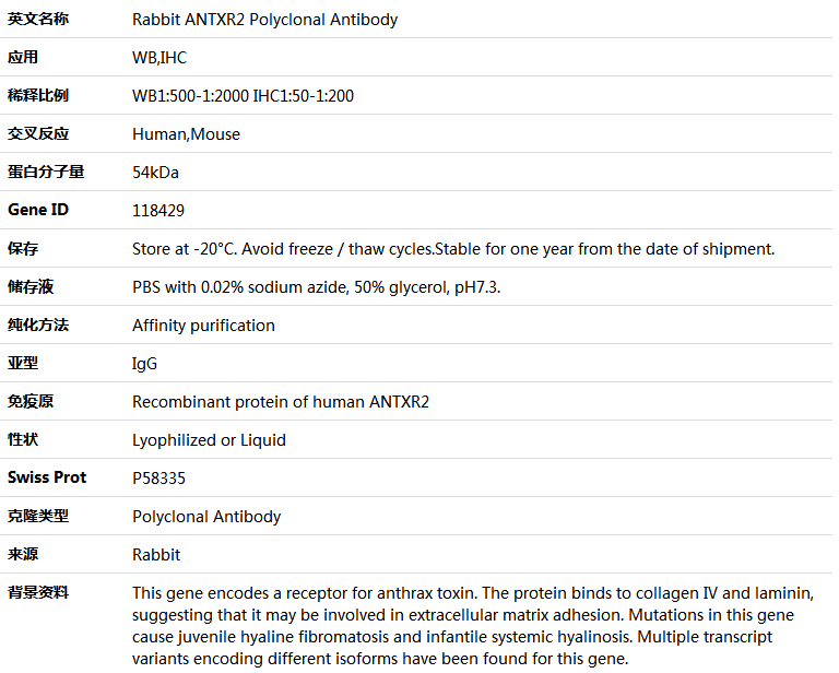 ANTXR2 Antibody,索莱宝,K004586P-100ul