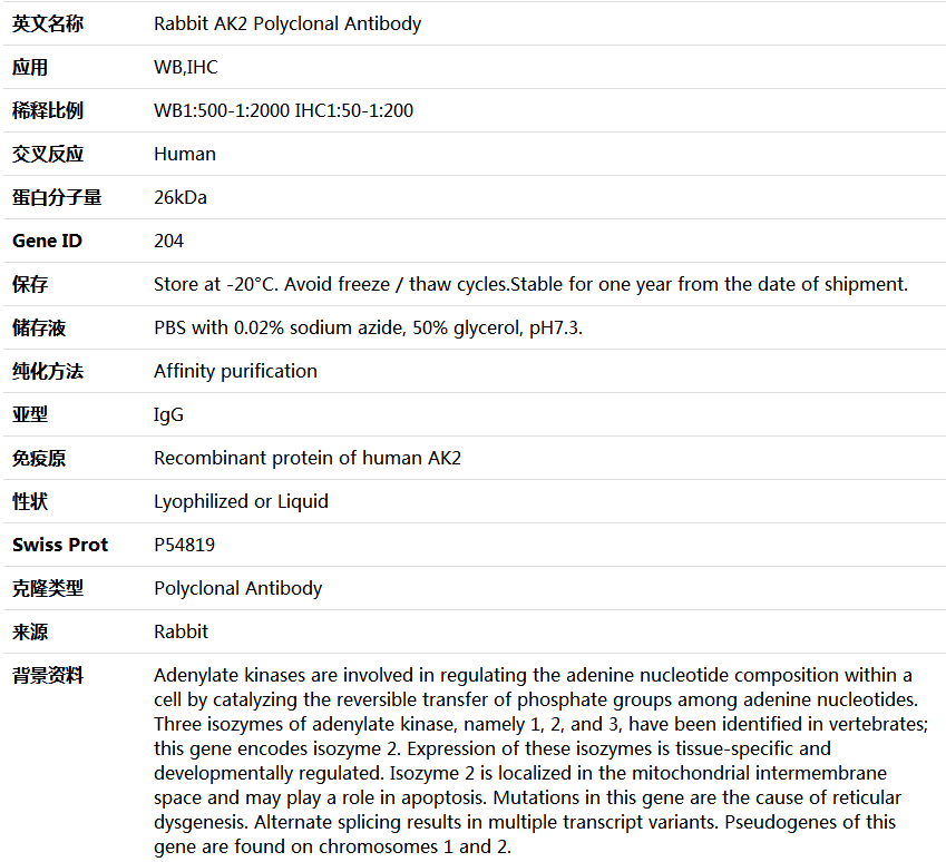 AK2 Antibody,索莱宝,K004579P-50ul