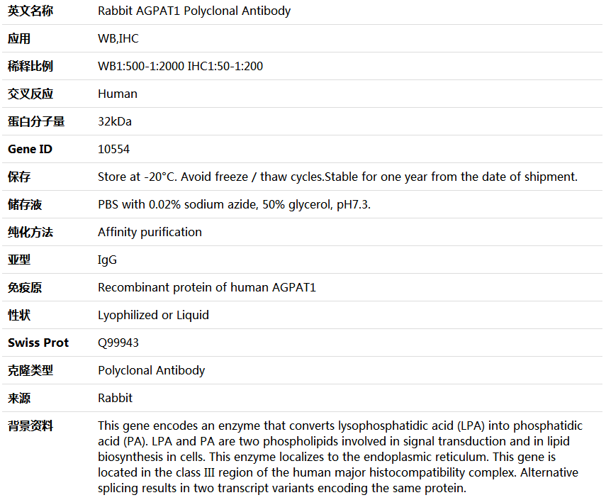 AGPAT1 Antibody,索莱宝,K004577P-50ul