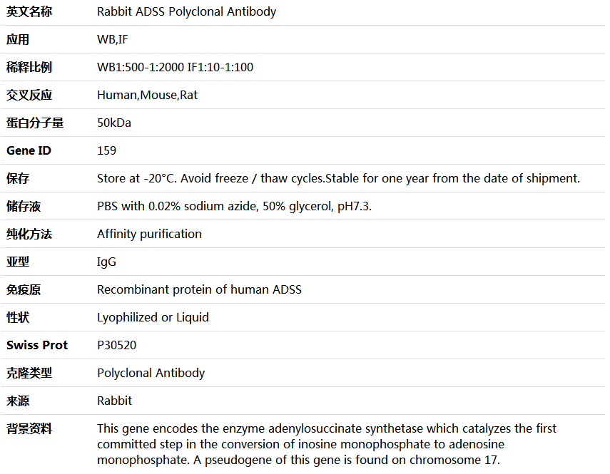 ADSS Antibody,索莱宝,K004576P-50ul