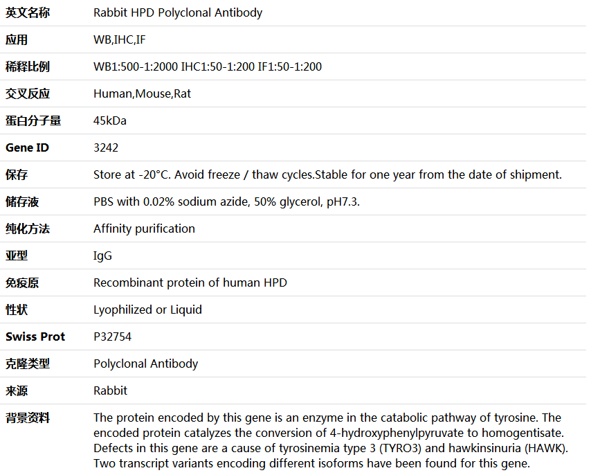 HPD Antibody,索莱宝,K004573P-50ul