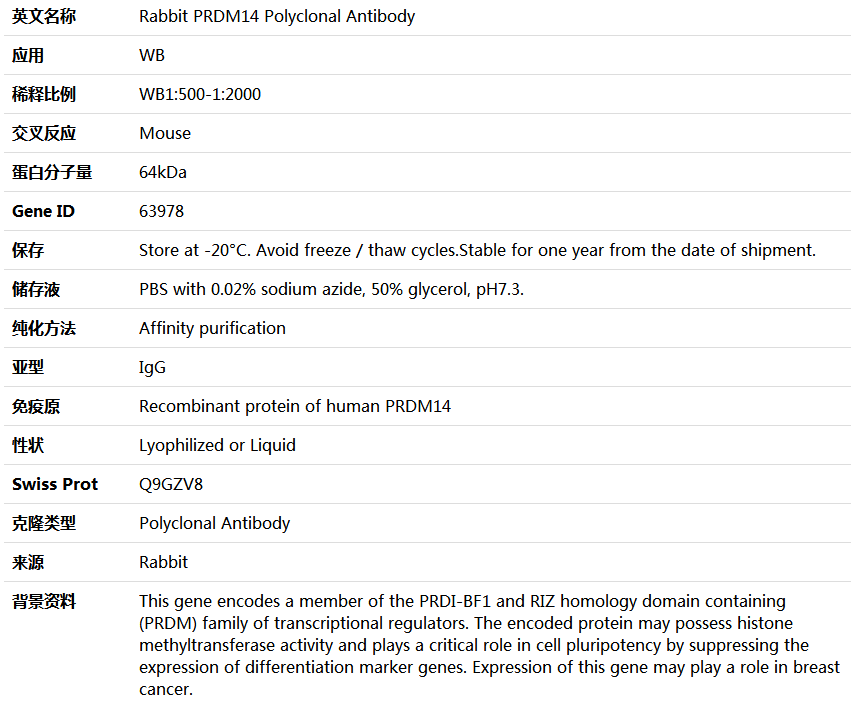 PRDM14 Antibody,索莱宝,K004572P-50ul