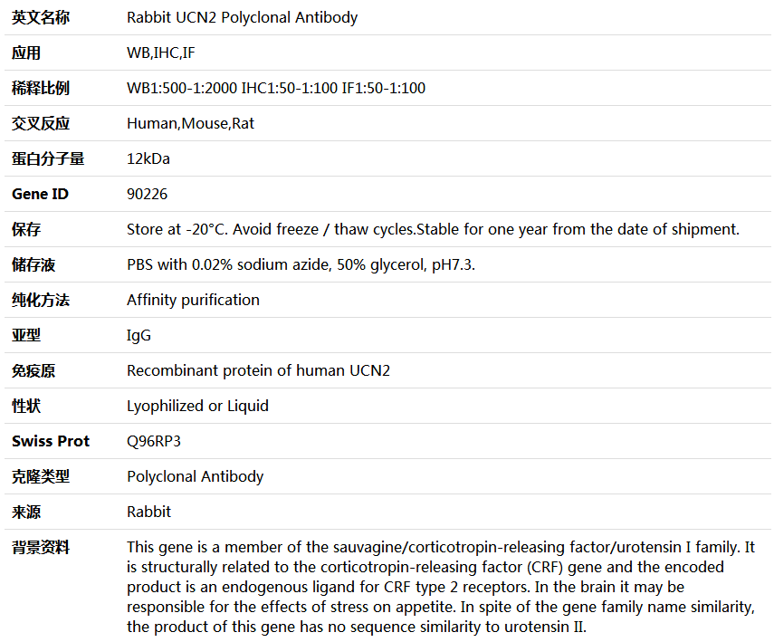 UCN2 Antibody,索莱宝,K004566P-100ul