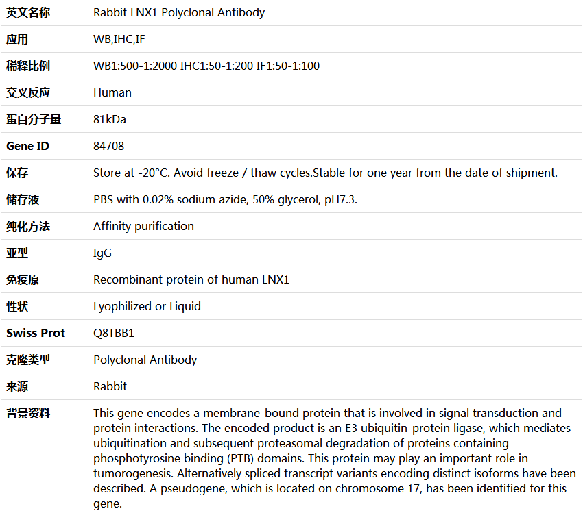 LNX1 Antibody,索莱宝,K004564P-50ul