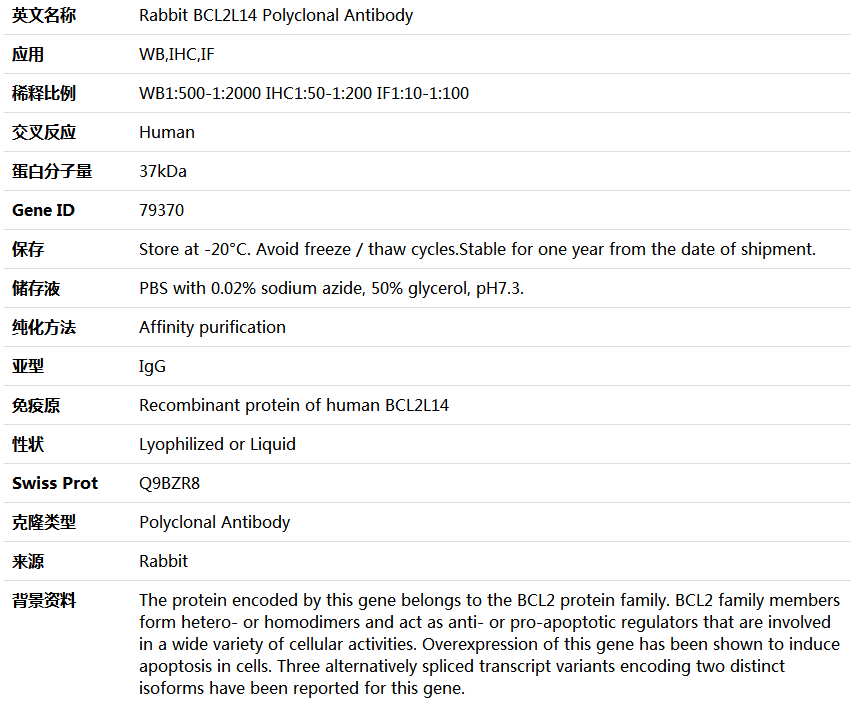 BCL2L14 Antibody,索莱宝,K004561P-50ul