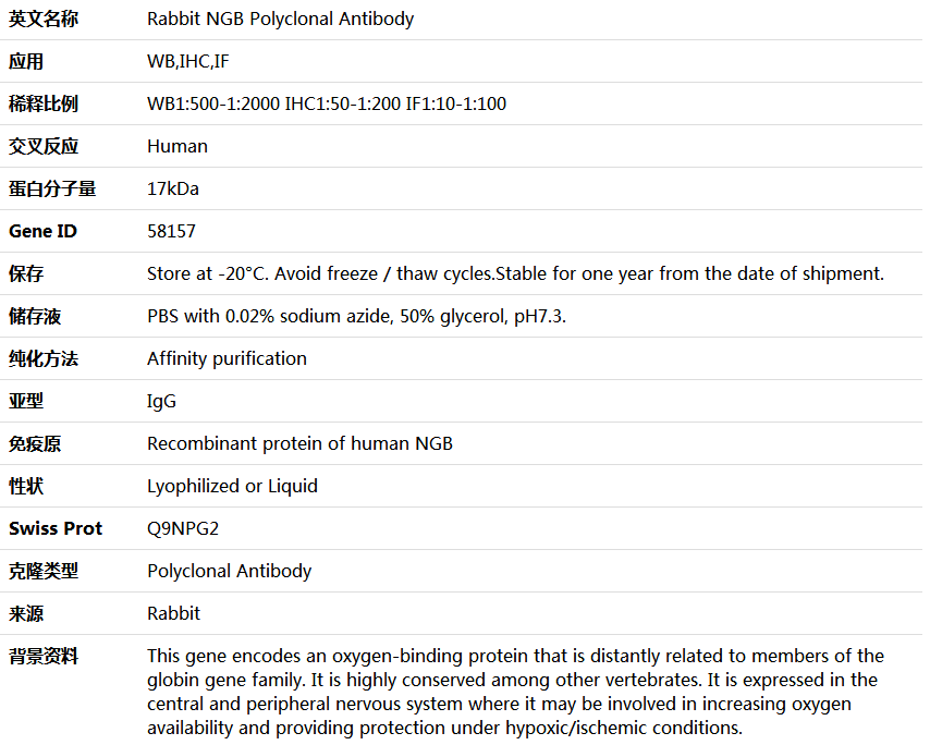 NGB Antibody,索莱宝,K004560P-100ul