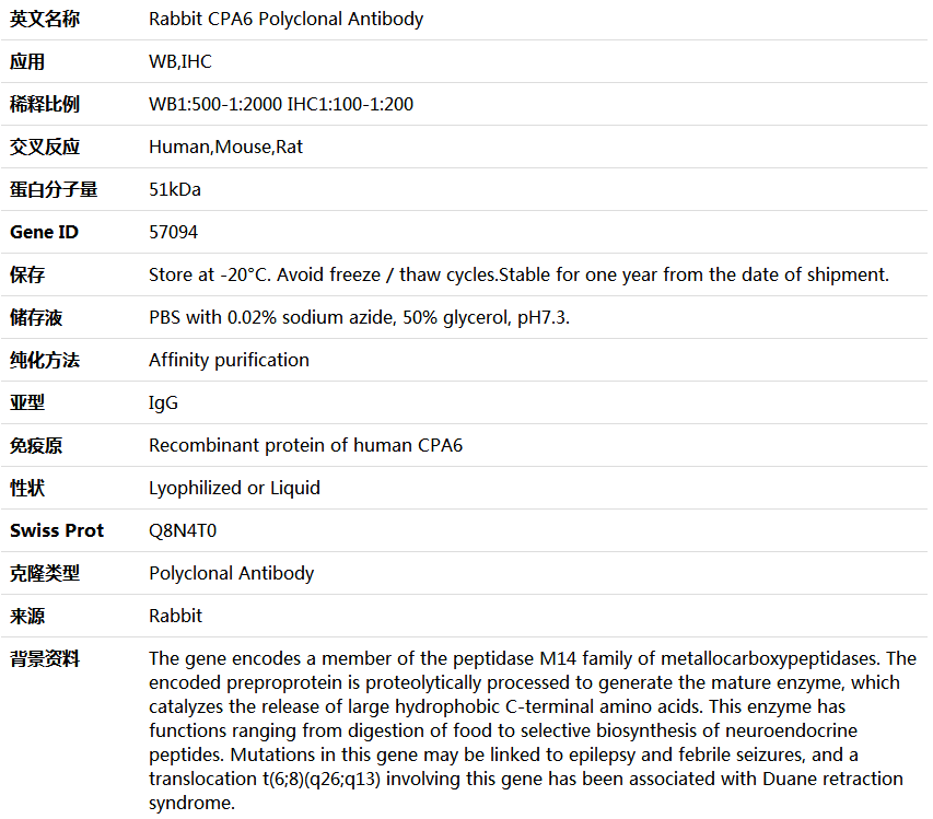 CPA6 Antibody,索莱宝,K004559P-100ul