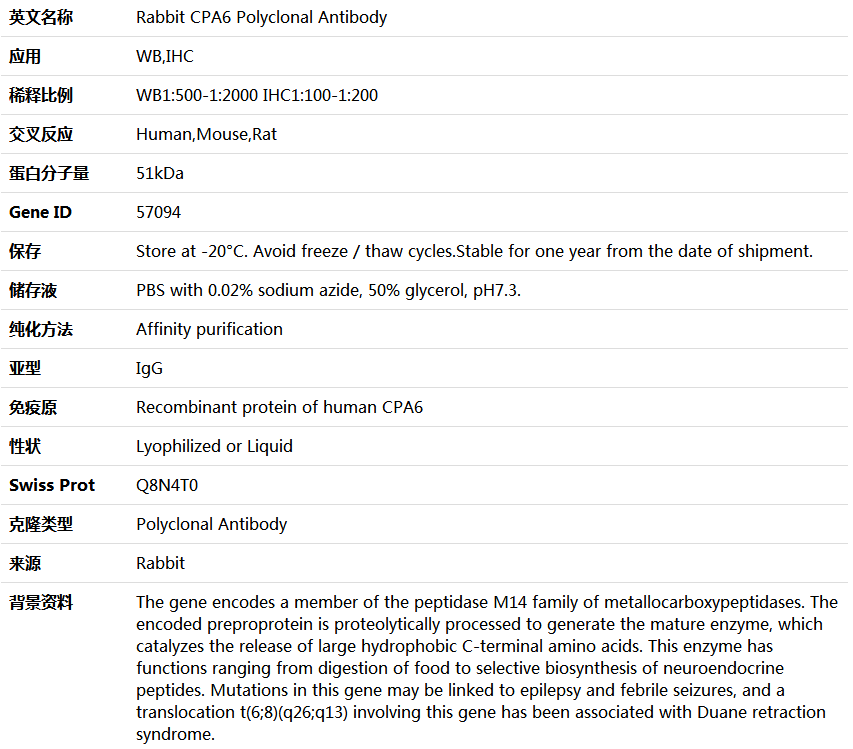 CPA6 Antibody,索莱宝,K004559P-50ul