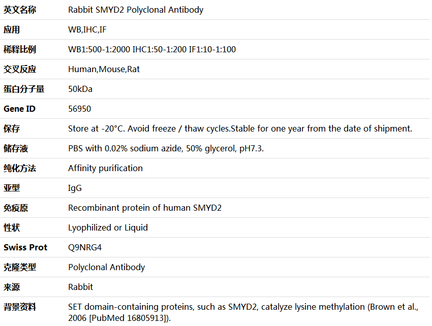 SMYD2 Antibody,索莱宝,K004558P-50ul