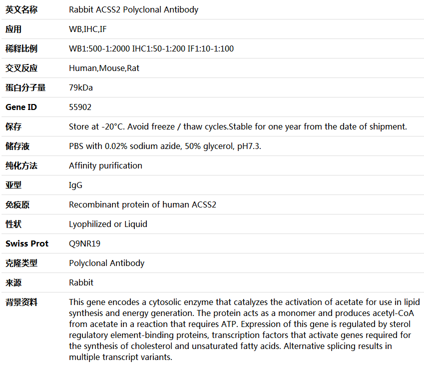 ACSS2 Antibody,索莱宝,K004556P-100ul