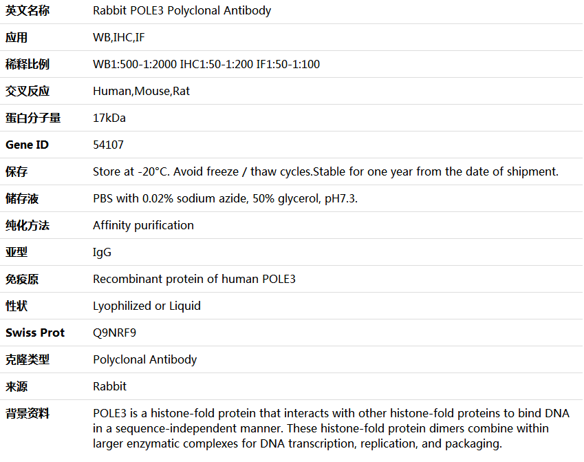 POLE3 Antibody,索莱宝,K004554P-50ul