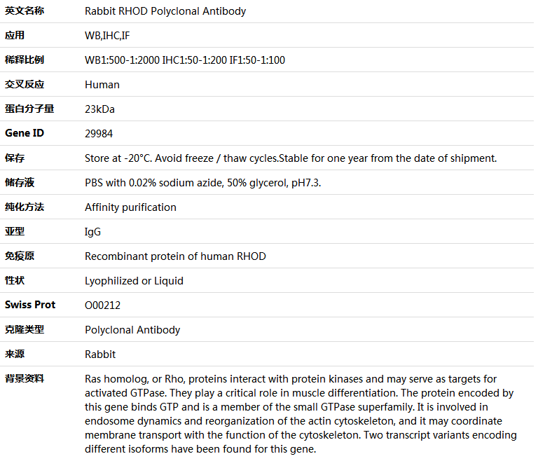 RHOD Antibody,索莱宝,K004549P-100ul