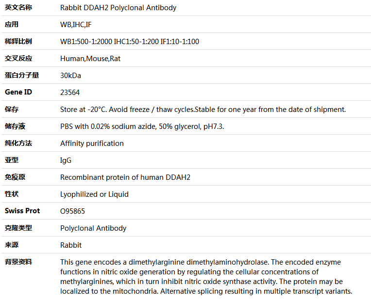 DDAH2 Antibody,索莱宝,K004544P-100ul