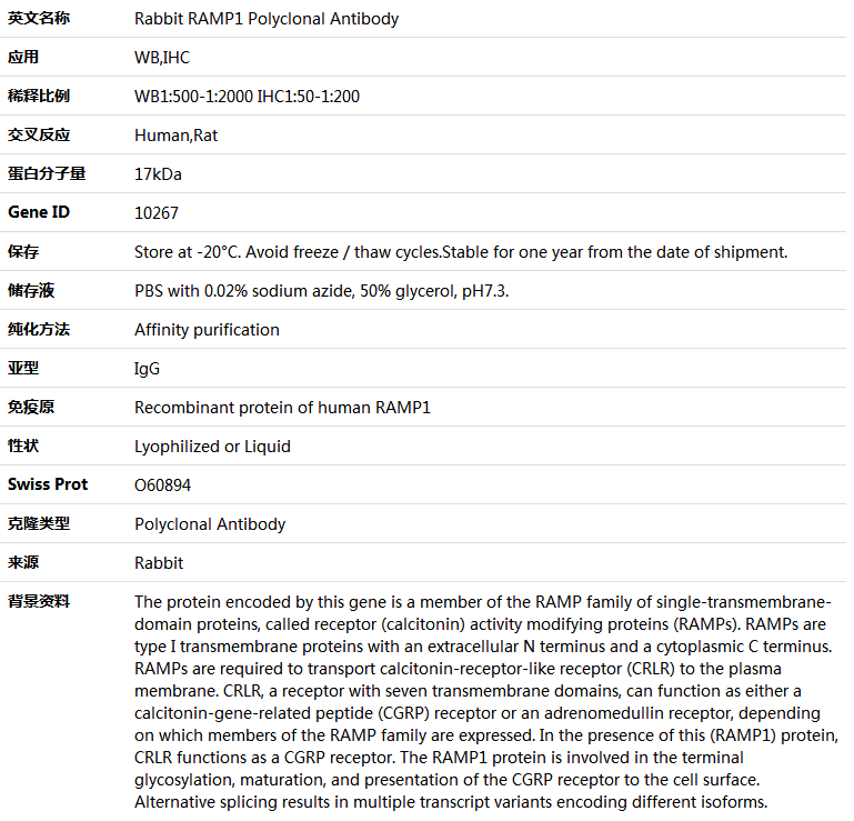 RAMP1 Antibody,索莱宝,K004536P-50ul