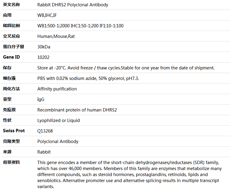 DHRS2 Antibody,索莱宝,K004535P-30ul